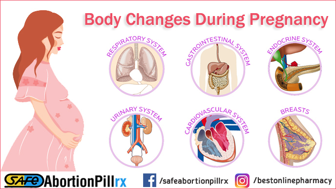 body changes during pregnancy