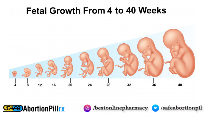 Fetal growth